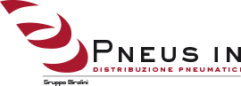 Logo PNEUSIN
