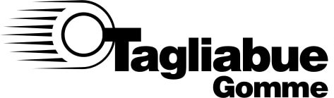 Logo TAGLIABUE CENTER GROSS